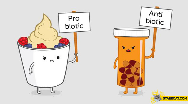 Probiotic vs antibiotic