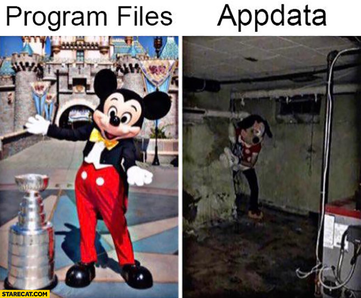 Program files vs appdata comparison mickey mouse
