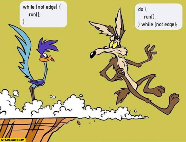Programming while vs do while coyote road runner