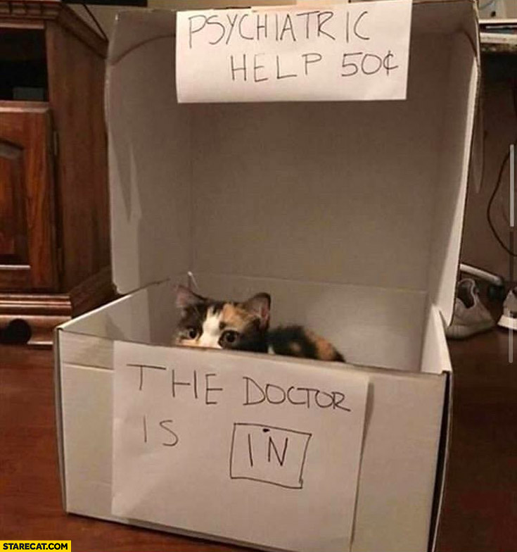 Psychiatric help cat the doctor is in
