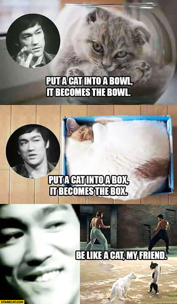 Put a cat into a bowl it becomes a bowl, put it into a box it becomes a box, be like a cat my friend Bruce Lee