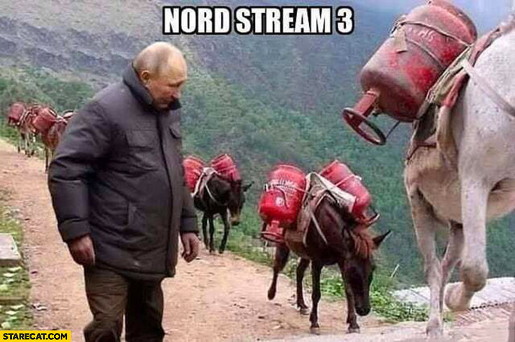 Putin inspecting Nord Stream 3 donkeys carrying gas bottles