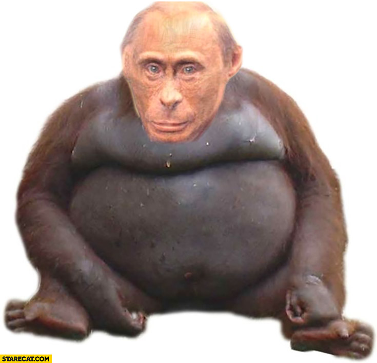 Putin monkey gorilla photoshopped