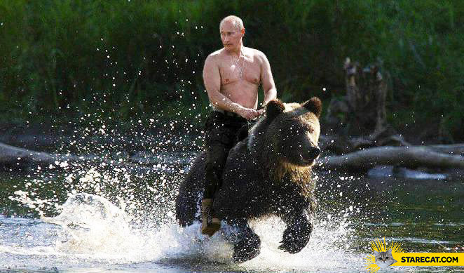 Putin on a bear