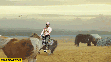 Putin riding on a pony horse backwards animation