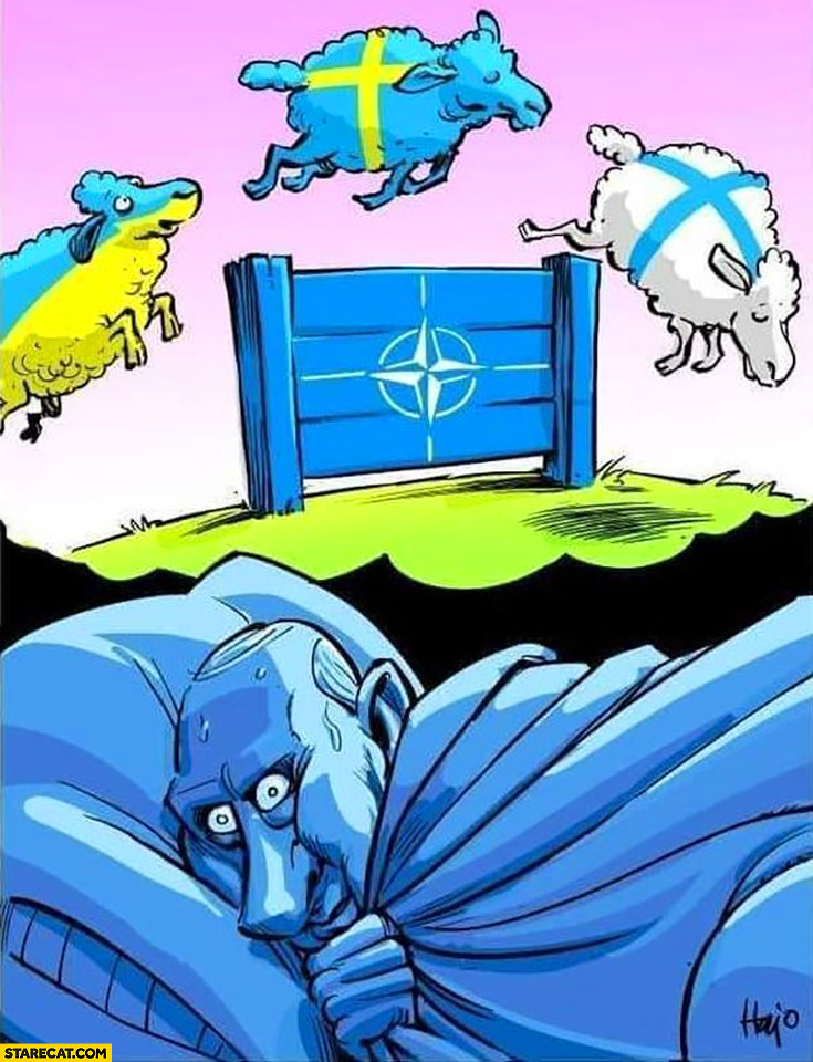Putin’s nightmare Ukraine Sweden Finland joining NATO sheep jumping over fence