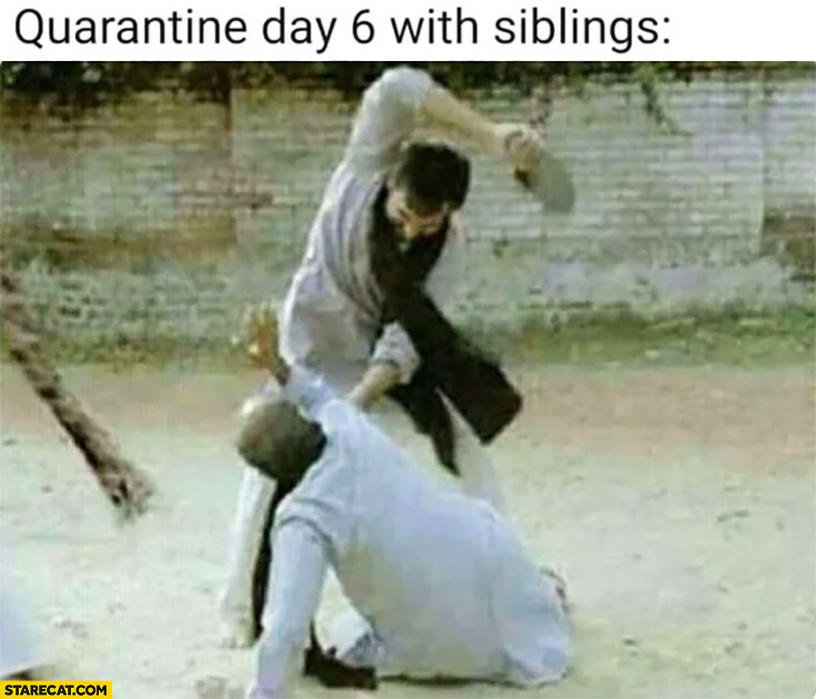 Quarantine day 6 with siblings fighting