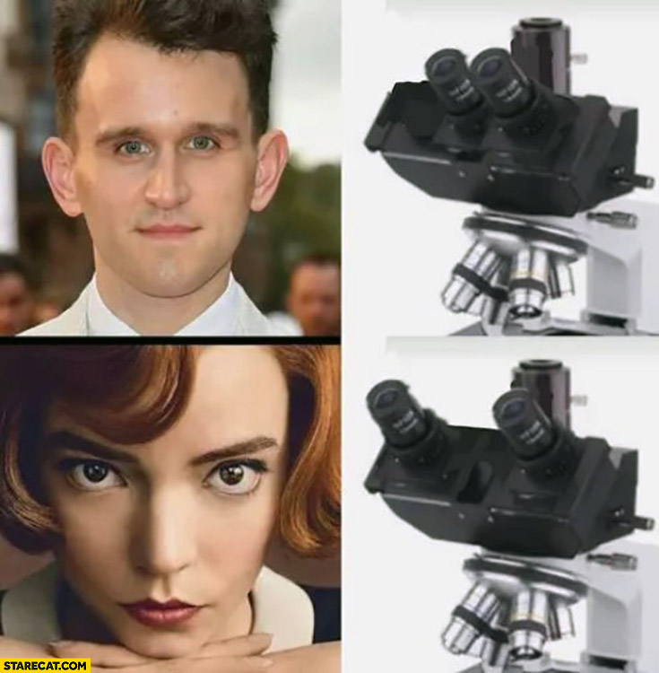 Queen’s Gambit characters eyes microscope setup setting