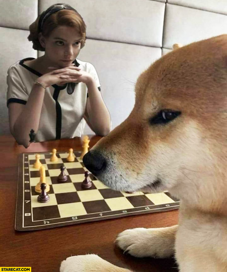 Queen’s gambit doge meme photoshopped