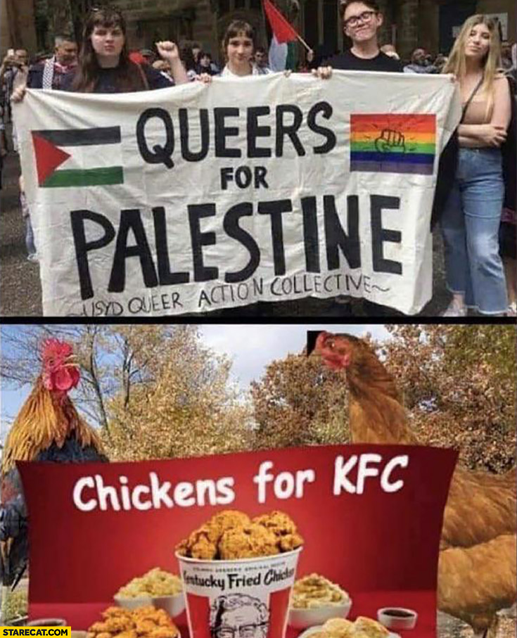 Queers for Palestine just like chickens for KFC