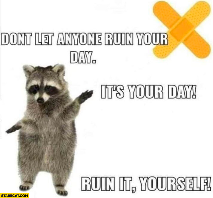 Raccoon don’t let anyone ruin your day it’s your day ruin it yourself