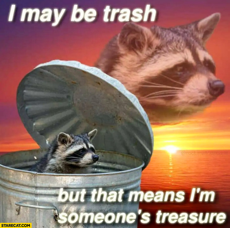 Raccoon I may be trash but that means im someones treasure