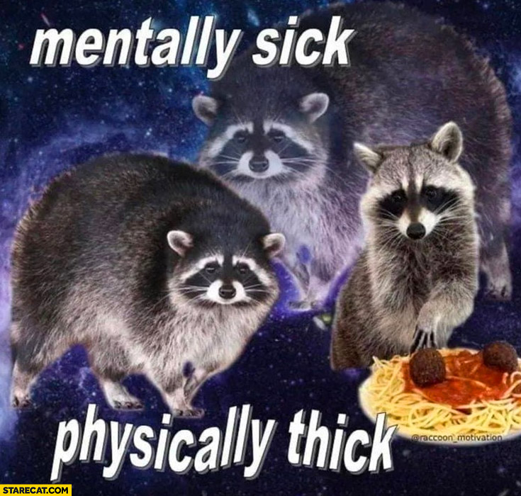 Raccoon mentally sick physically thick