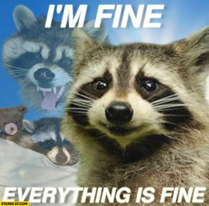 Raccoon sad angry I’m fine, everything is fine