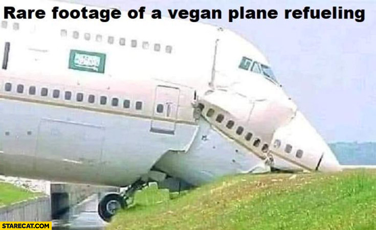 Rare footage of a vegan plane refueling