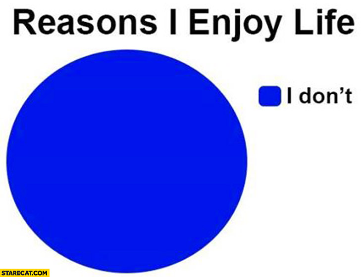 Reasons I enjoy life: I don’t. graph