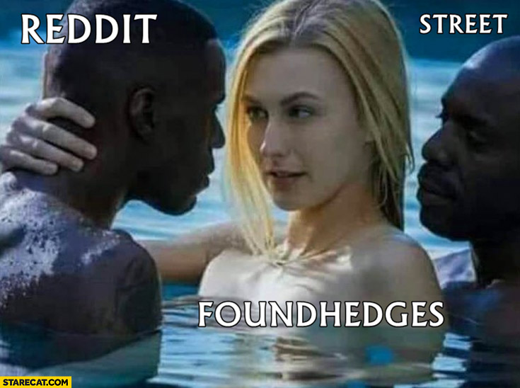 Reddit street hedgefunds adult movie meme gme gamestop stock