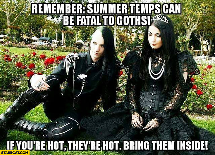 Remember summer temps can be fatal to Goths if you’re hot they’re hot bring them inside