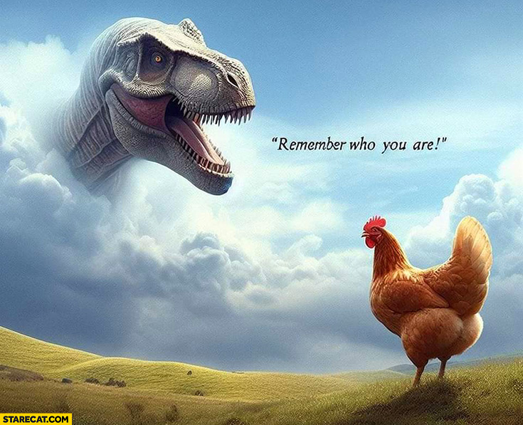 Remember who you are dinosaur to a hen cock chicken