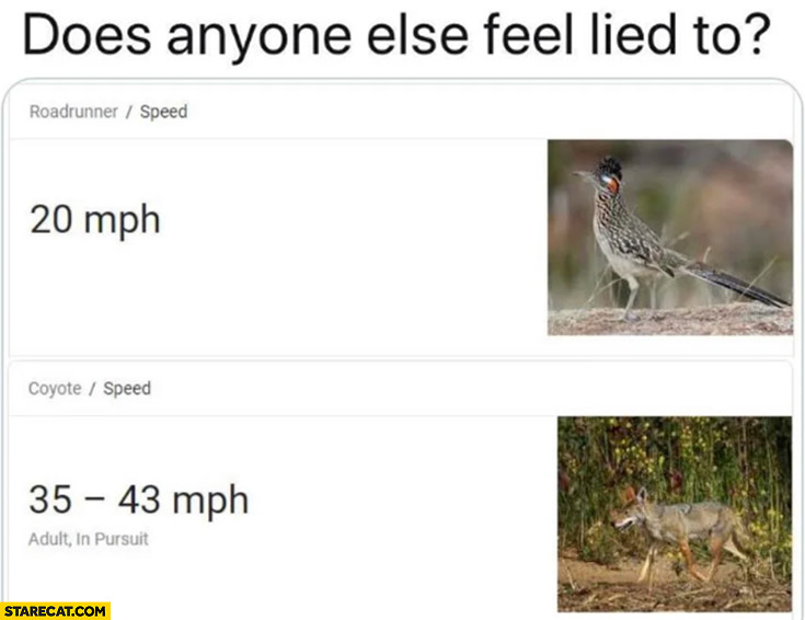 Roadrunner speed vs coyote speed does anyone else feel lied to