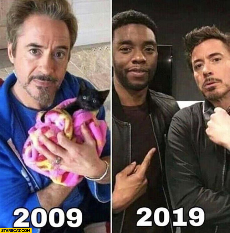Robert Downey Jr. with black cat man 2009 2019 comparison