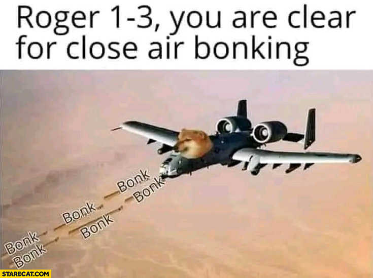 Roger 1-3 you are clear for close air bonking doge cheems airplane jet fighter