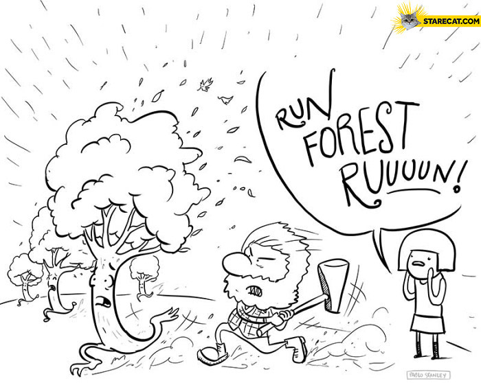 Run forest run