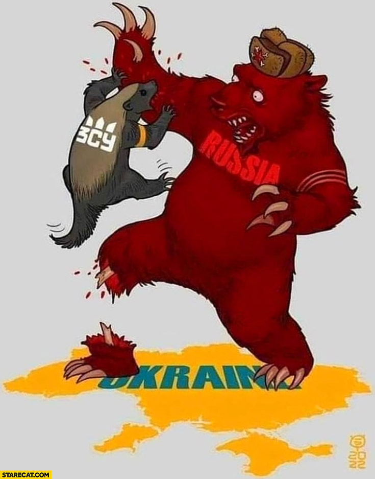 Russia bear vs Ukraine fight illustration drawing