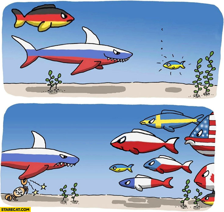 Russia big fish all other fish regroup countries join forces war in Ukraine