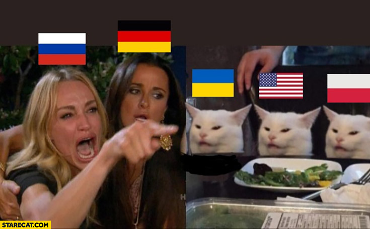 Russia Germany angry at Ukraine Poland USA cat meme