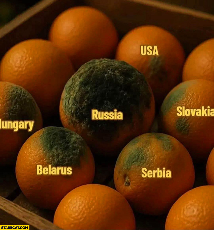 Russia like a rotten orange attacking other oranges