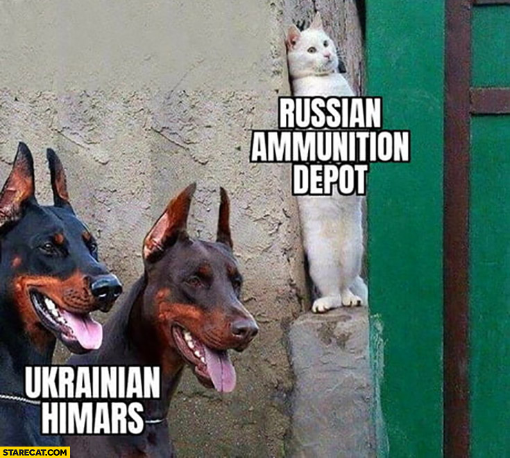 Russian ammunition depot hiding from Ukrainian Himars cat hiding from dogs