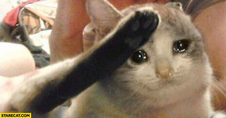 Sad cat salute crying kitty