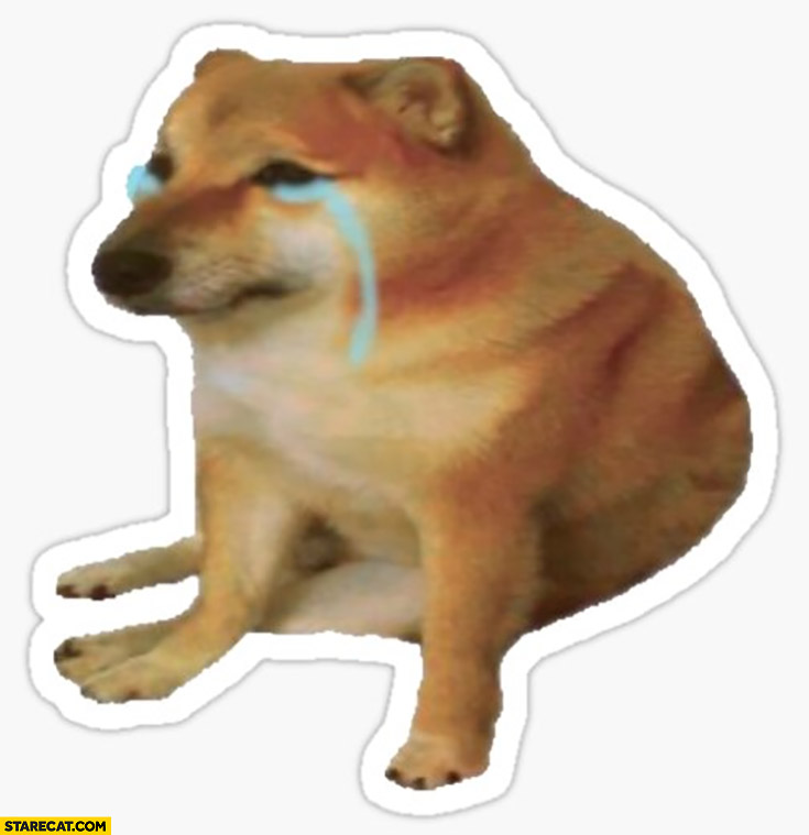 Sad crying dog doge meme isolated depressed demotivated