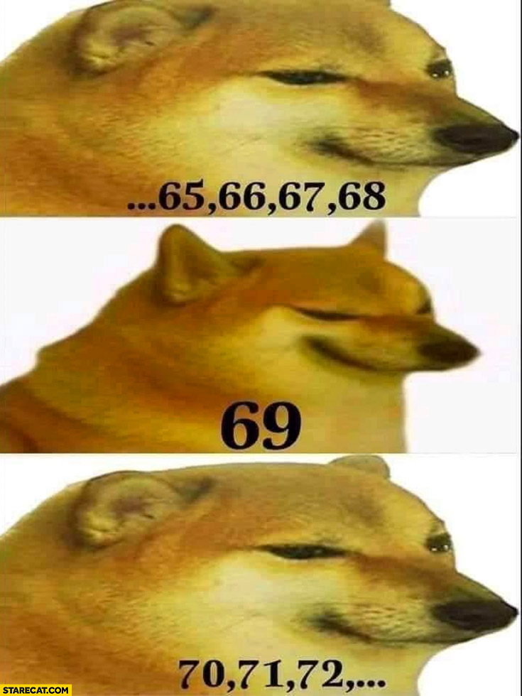 Sad dog counting 69 funny number meme 