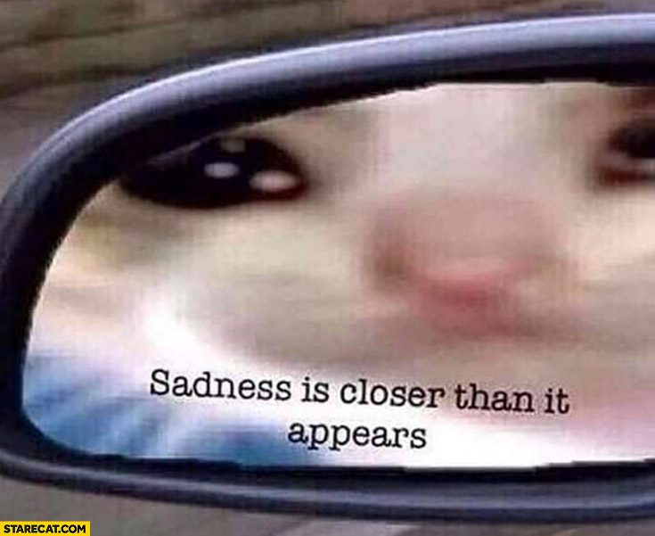 Sadness is closer than it appears sad cat car mirror
