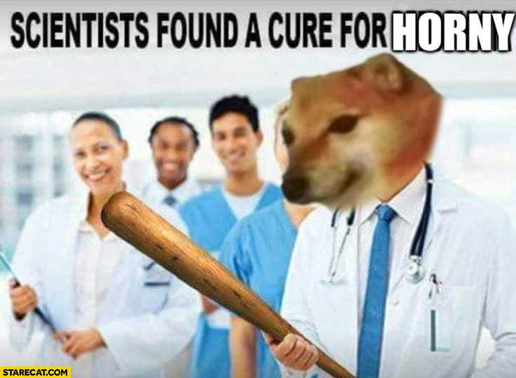 Scientist found a cure for horny doge baseball bat