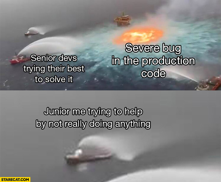 Severe bug in the production, senior devs trying their best to solve it, junior me trying to help by not really doing anything boats ships