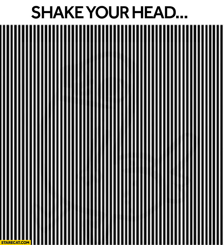Shake your head to see hidden image