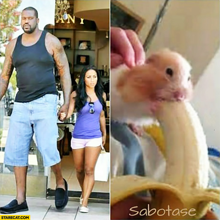 Shaq O’Neal with his small tiny girlfriend like a hamster eating huge banana