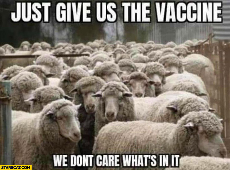 Sheep just give us the vaccine we don’t care what’s in it