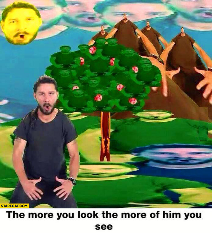 Shia LaBeouf the more you look the more of him you see