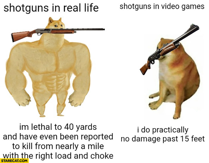 Shotguns in real life vs in video games dog doge cheems damage comparison