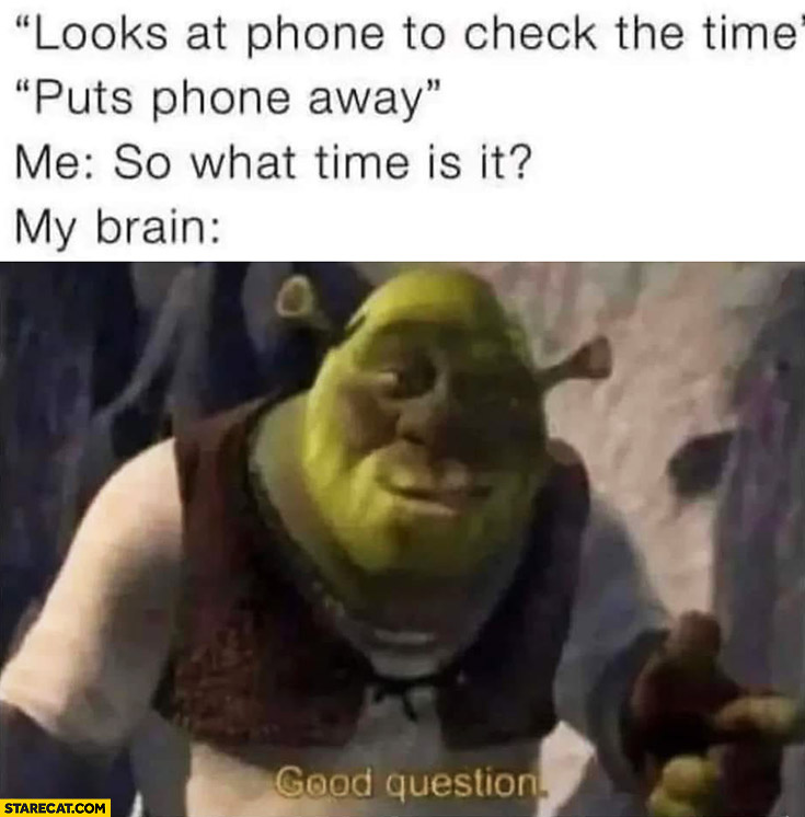Shrek looks at phone to check the time, puts phone away. Me: so what time is it? My brain: good question