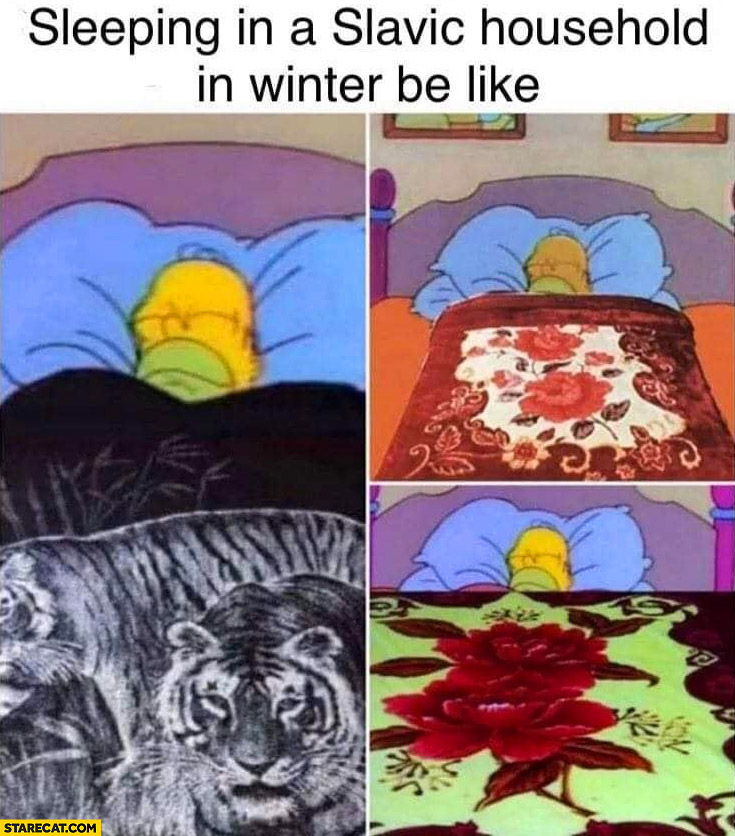 Sleeping in a Slavic household in winter be like blankets with weird pictures