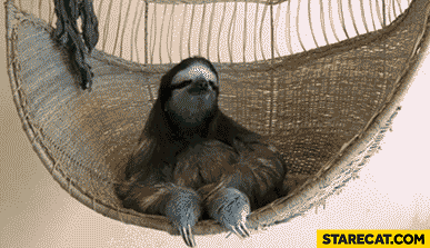 Sloth on a hammock