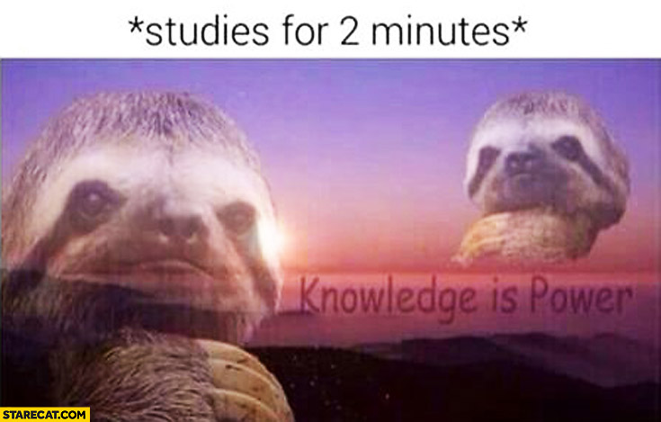 Sloth studies for 2 minutes knowledge is power sunset
