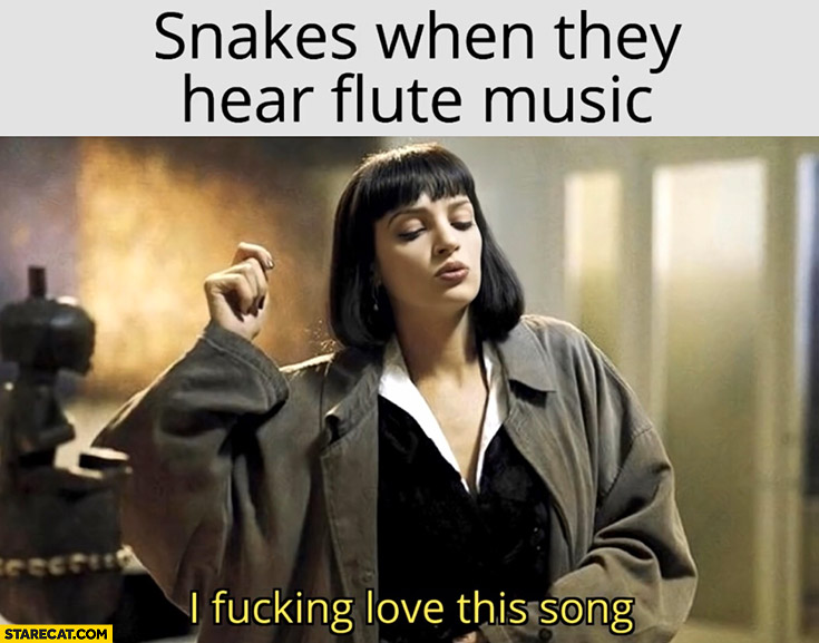 Snakes when they hear flute music I love this song pulp fiction mia wallace