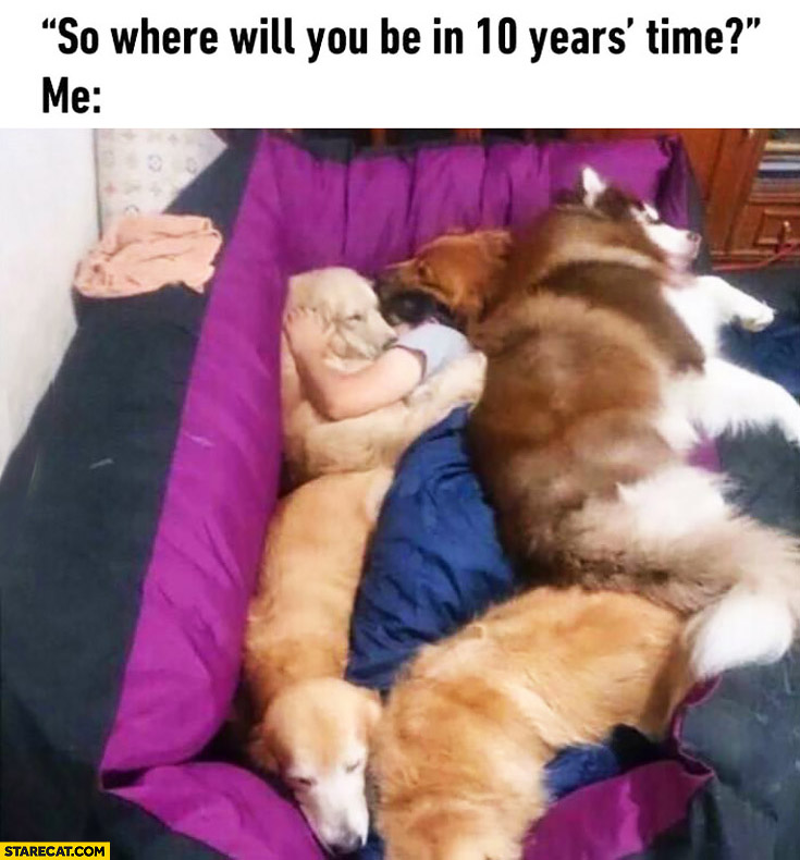 So where will you be in 10 years time? Me: sleeping with dogs
