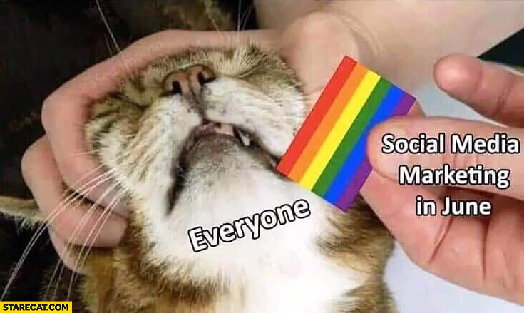Social media marketing in June pride month vs everyone cat does not want rainbow flag